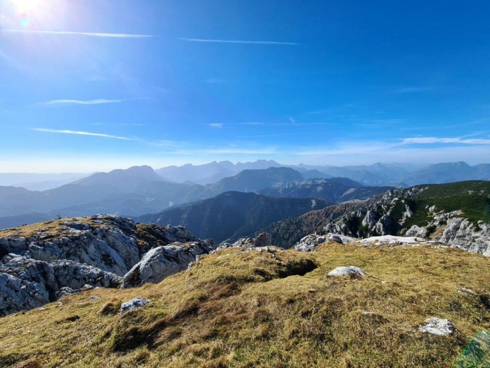 20221031 Peca - foto povečava