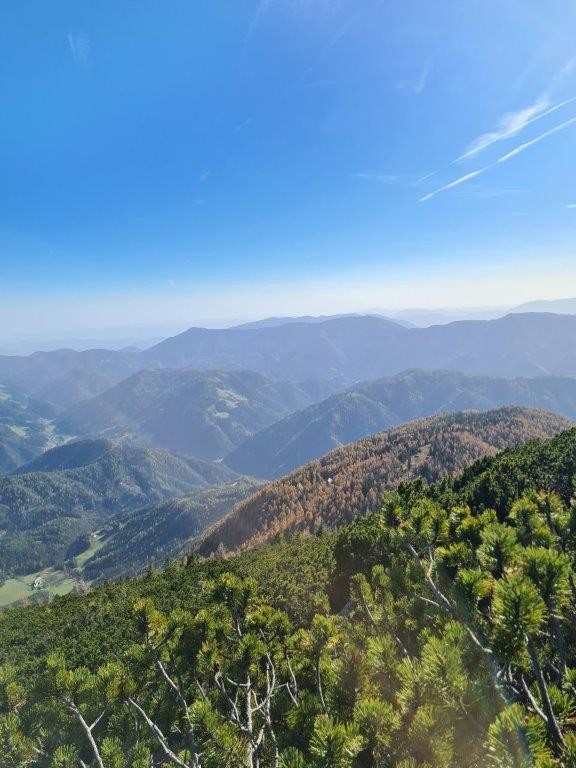 20221031 Peca - foto povečava