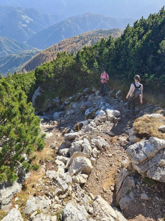 20221031 Peca - foto povečava