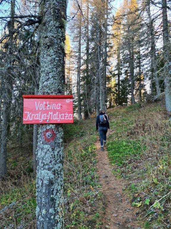 20221031 Peca - foto povečava