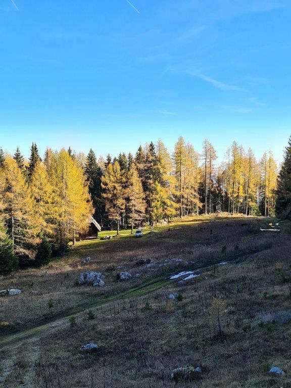 20221031 Peca - foto povečava