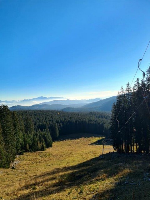 20221113 Viševnik - foto