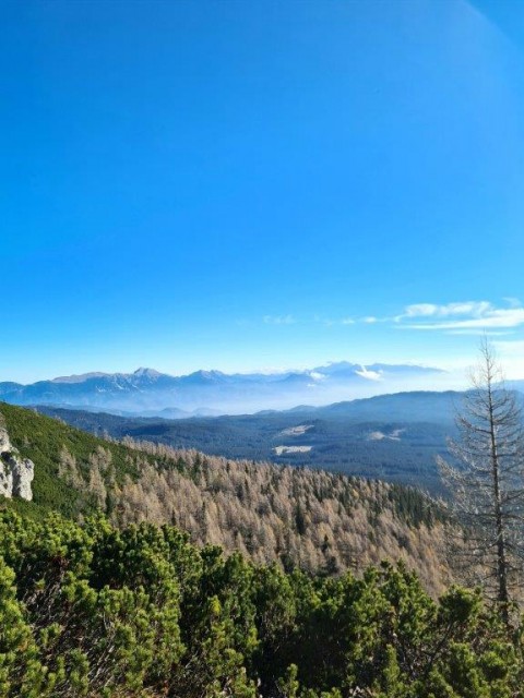20221113 Viševnik - foto