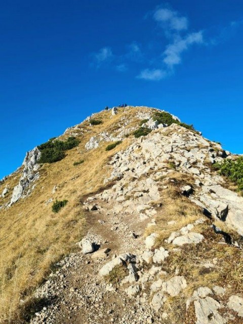 20221113 Viševnik - foto