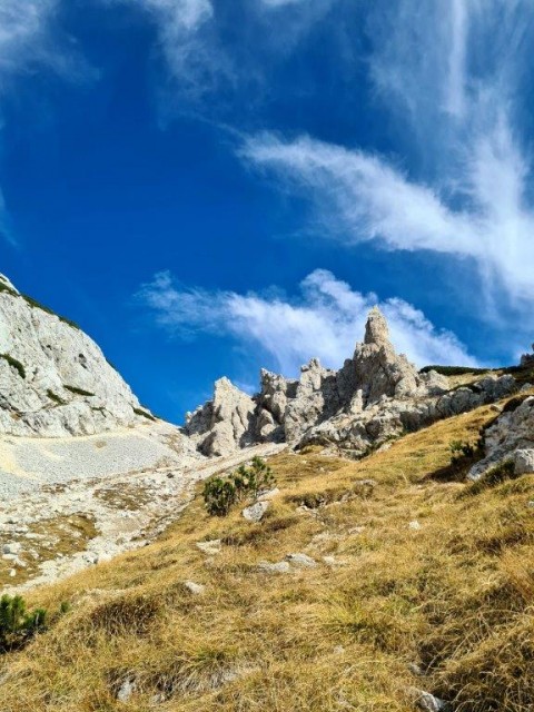 20221113 Viševnik - foto
