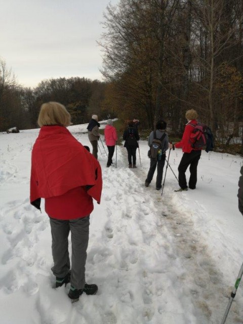 20221126-27 Gospodična - foto