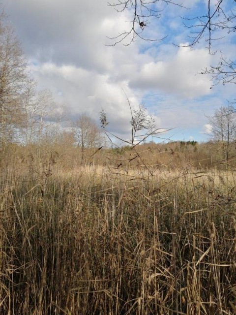 20221126-27 Gospodična - foto