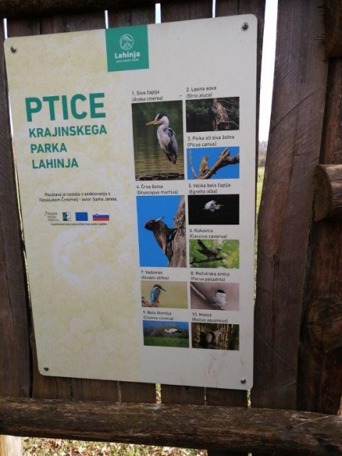 20221126-27 Gospodična - foto