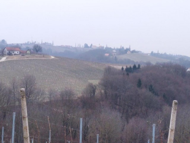 20230208 Prešernov pohod na jeruzalem - foto