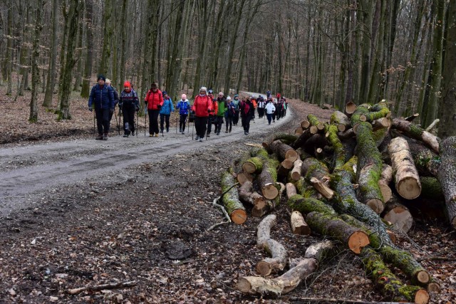 20230226 motvarjevci - hancova klet foto lado - foto