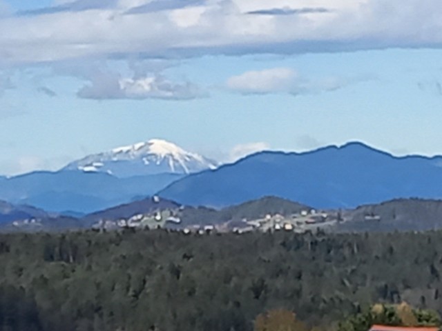20230311 Ponikva - foto