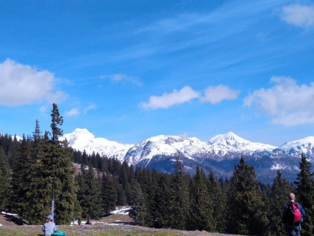 20230422 Velika planina - foto