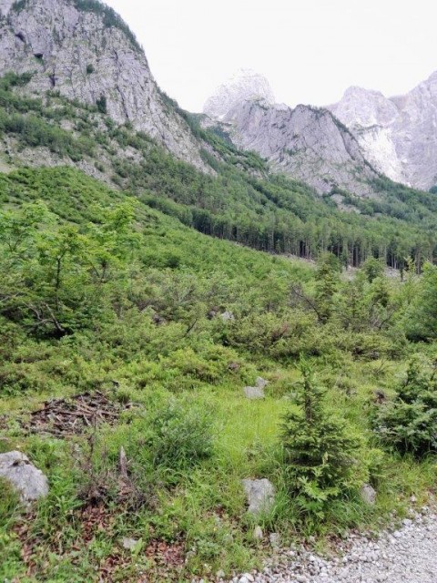 20230624 otvoritev gustlnov dom v Vratih - foto