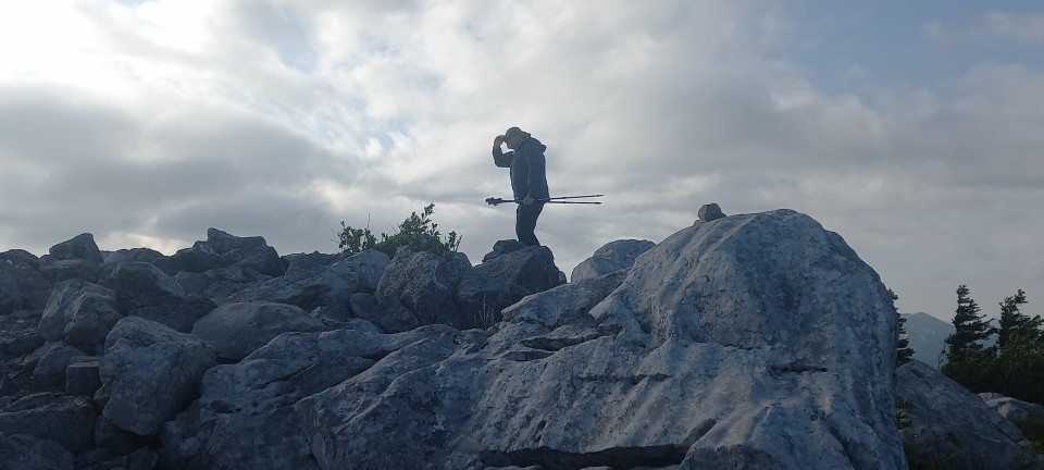 20230624-25 Velebit - foto povečava