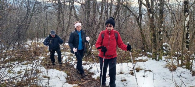 20231208 koča MLADIKA, sovič - foto