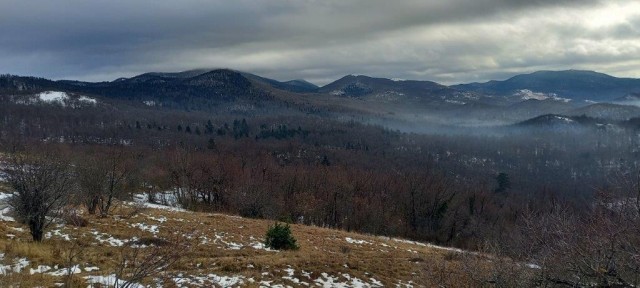 20231208 koča MLADIKA, sovič - foto