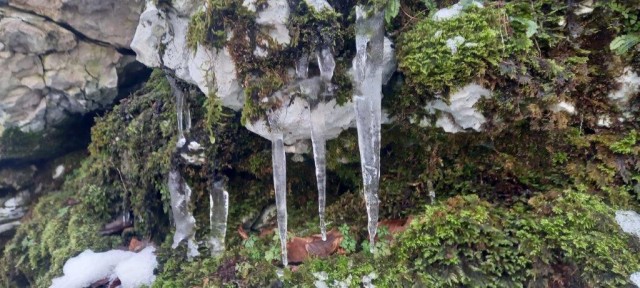 20231208 koča MLADIKA, sovič - foto