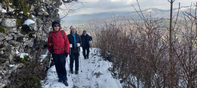 20231208 koča MLADIKA, sovič - foto