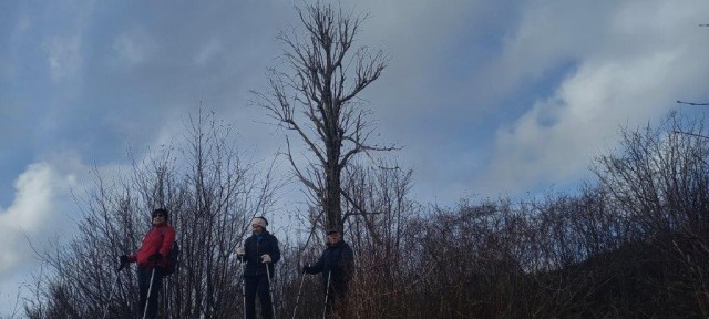 20231208 koča MLADIKA, sovič - foto