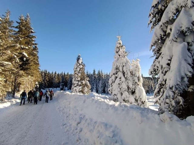 20240113 po poteh pohorskega bataljona - foto