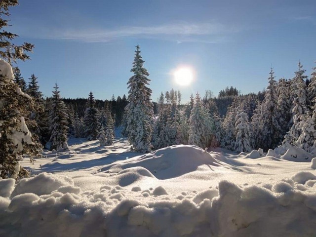 20240113 po poteh pohorskega bataljona - foto
