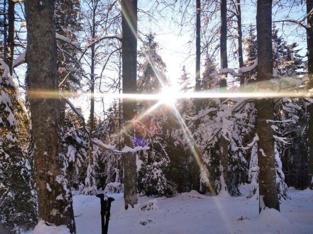20240113 po poteh pohorskega bataljona - foto