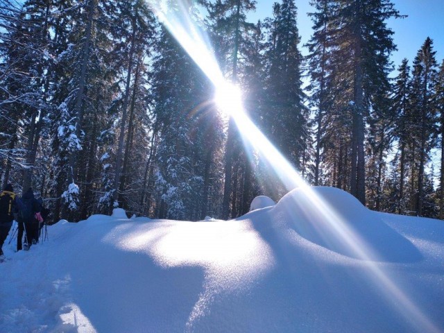 20240113 po poteh pohorskega bataljona - foto