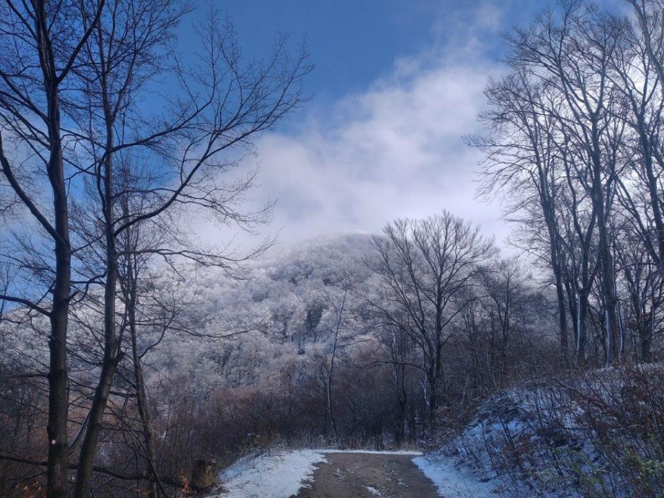 20240324 Boč usposabljanje PLV II - foto povečava