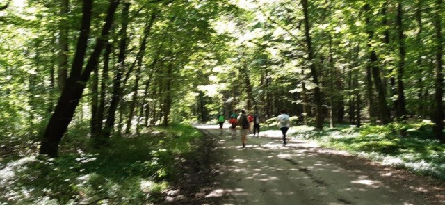20240606 Okrog Bukovniškega jezera z VDC - foto