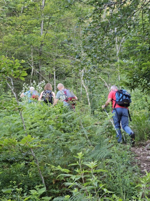 20240629 Tolsti vrh - foto