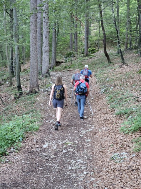 20240629 Tolsti vrh - foto