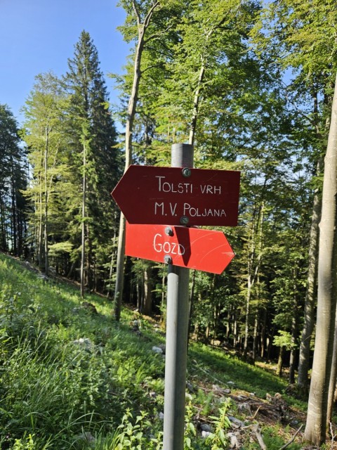 20240629 Tolsti vrh - foto
