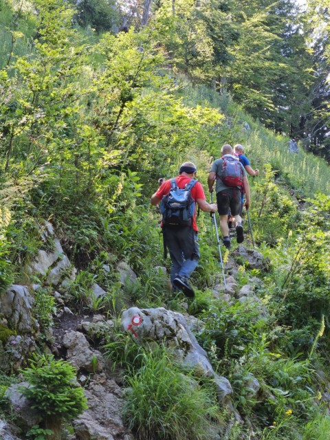 20240629 Tolsti vrh - foto