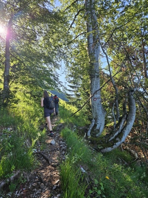 20240629 Tolsti vrh - foto