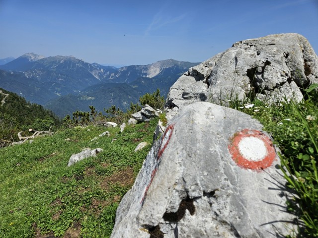 20240629 Tolsti vrh - foto
