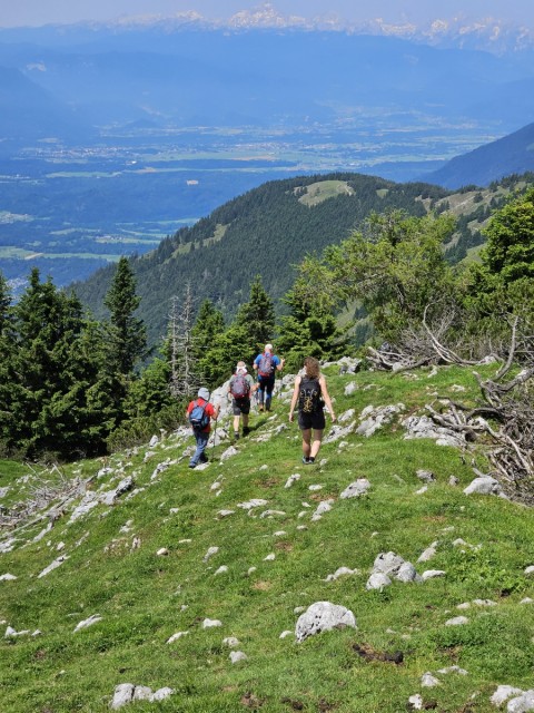 20240629 Tolsti vrh - foto