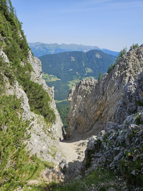 20240629 Tolsti vrh - foto