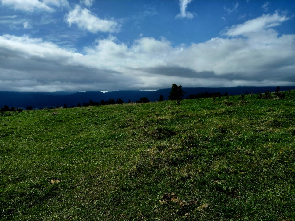 20240928 Slivnica - foto povečava