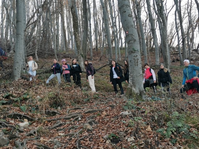 20241108-1110 priprave Mladina in gore - foto