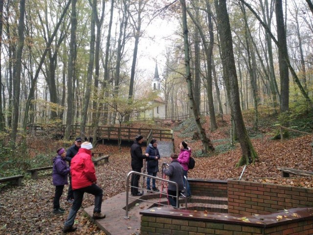 20241110 Martinov pohod po strehovskih gorica - foto
