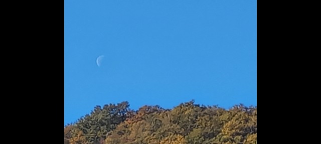 20241123-1124 - foto
