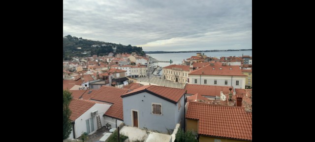20241123-1124 - foto