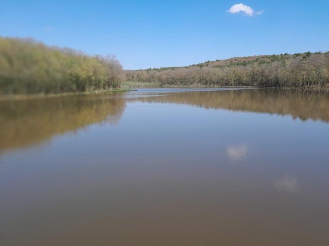 20250404 Z VDC po bukovniškem gozdu - foto