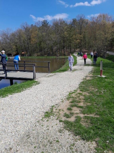 20250404 Z VDC po bukovniškem gozdu - foto