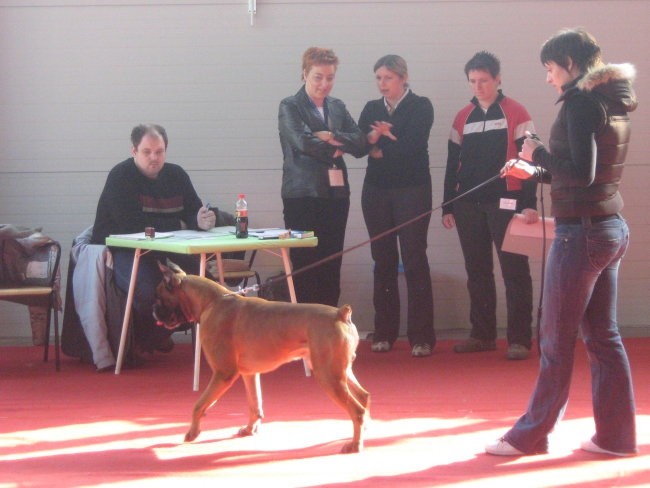 Celje,24.2.2008 - foto povečava