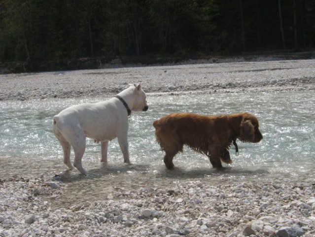 Bohinj08 - foto