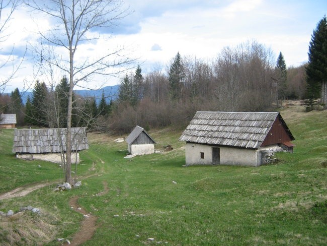 Bohinj08 - foto povečava