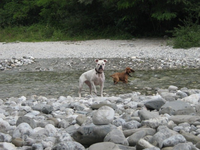 Soča in nadiža - foto povečava