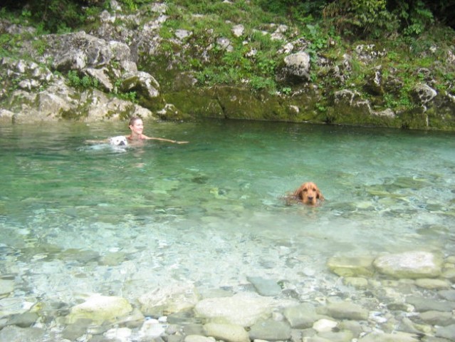 Soča in nadiža - foto