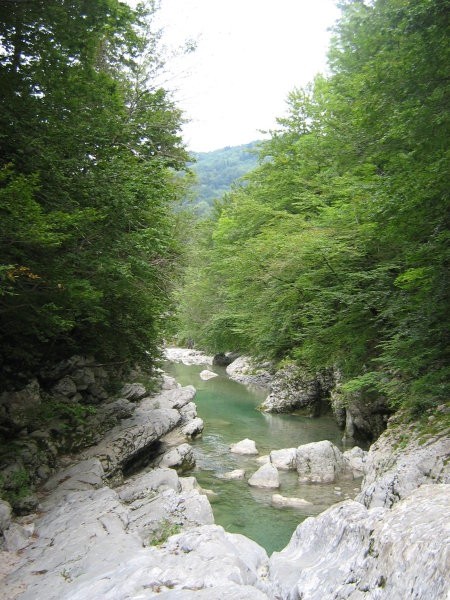 Soča in nadiža - foto povečava